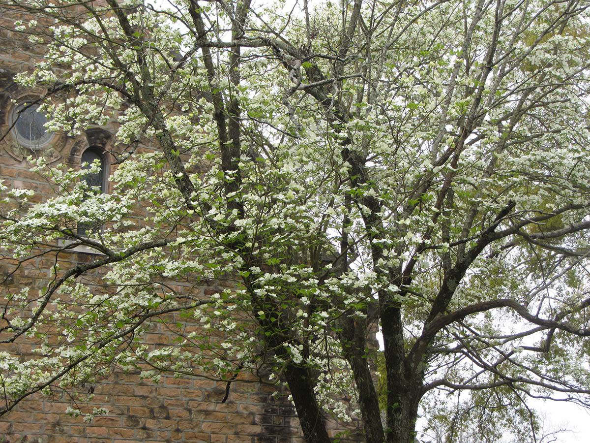 St. Michael’s church